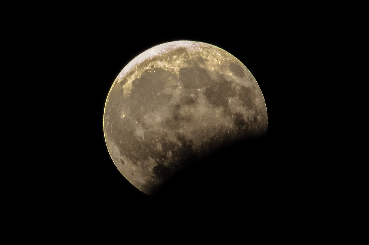 moon eclipse astronomy free photo