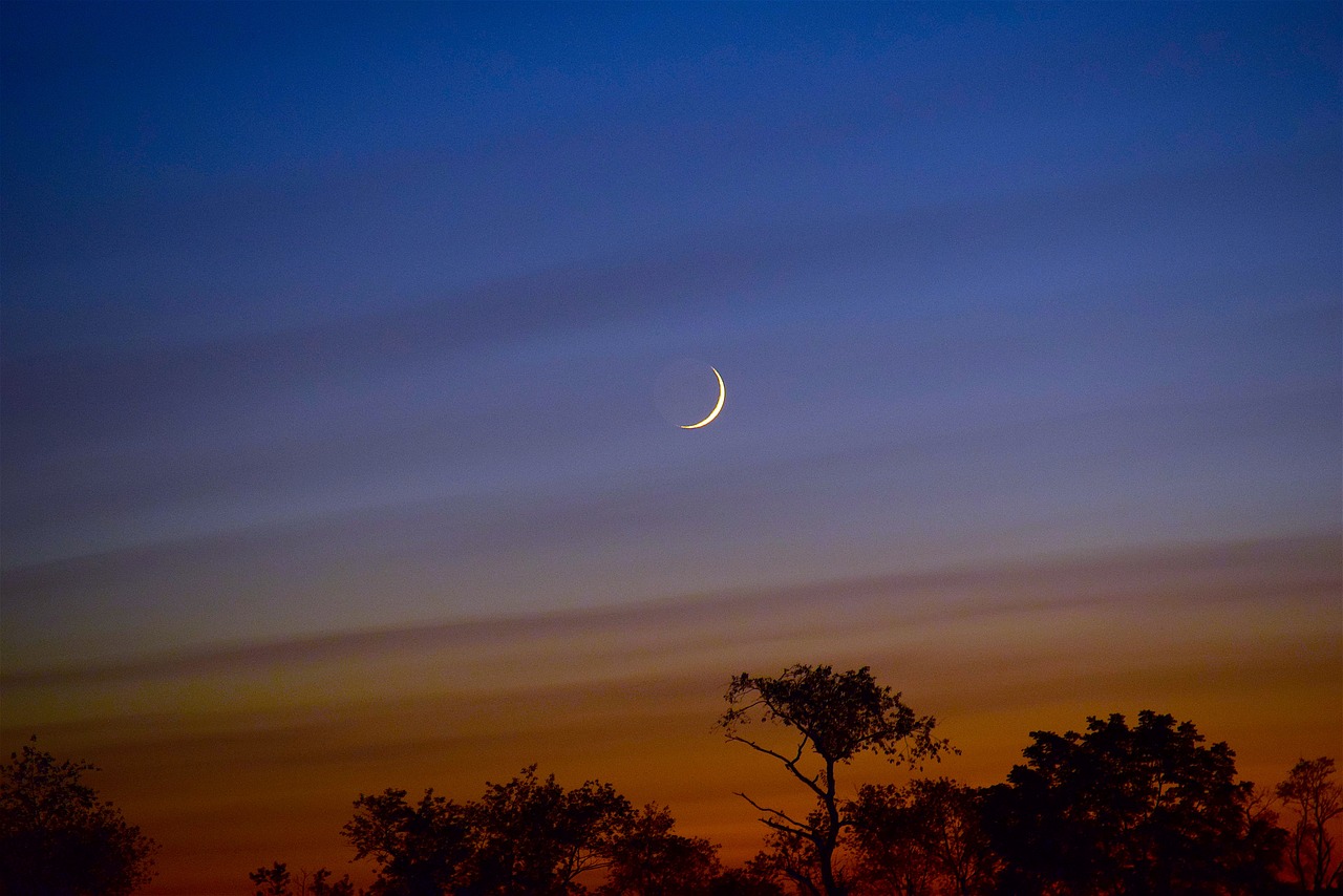 moon sky crescent free photo