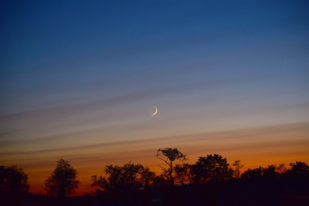 moon sky crescent free photo