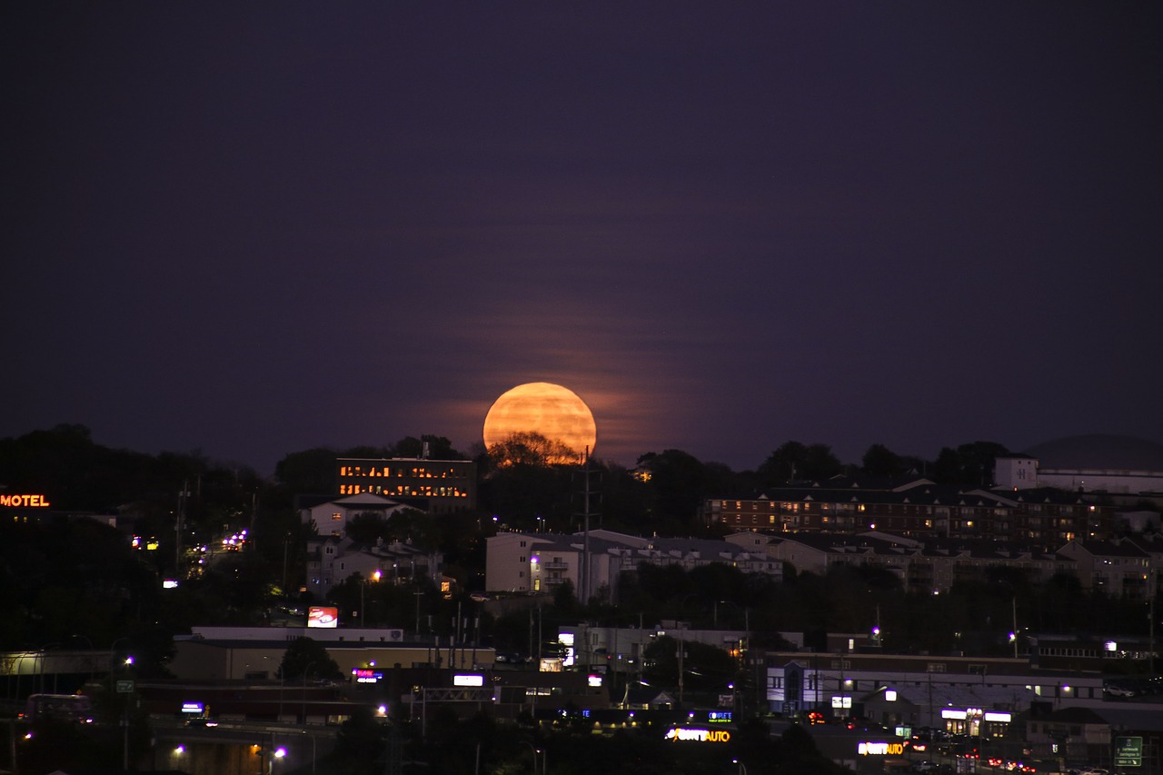 moon moon rise moonlight free photo