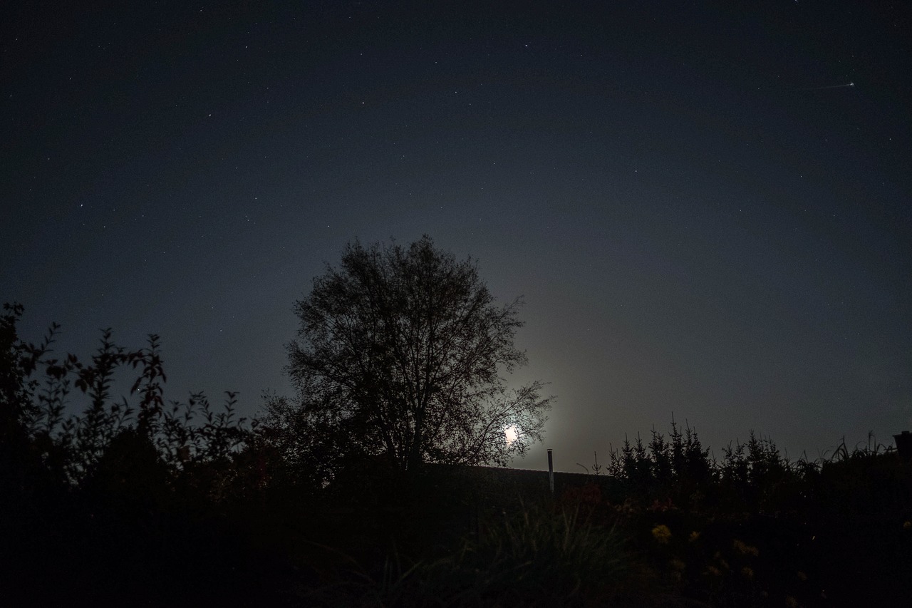 moon night mood free photo
