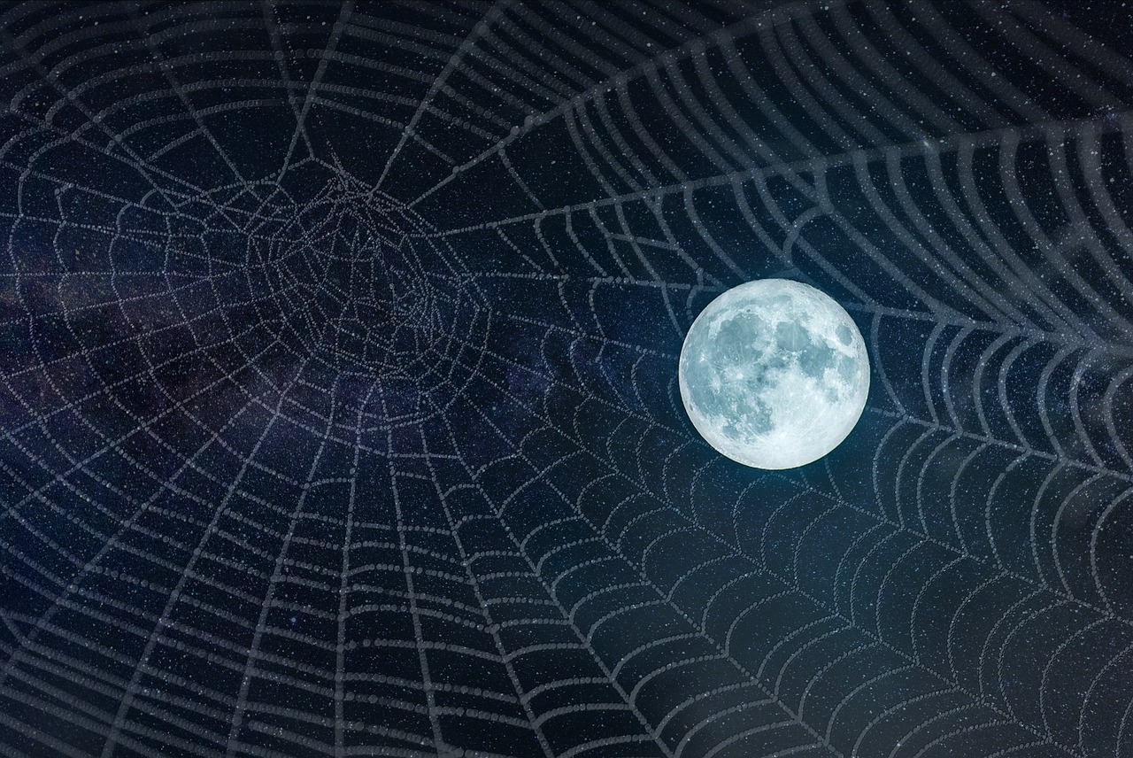 moon full web free photo