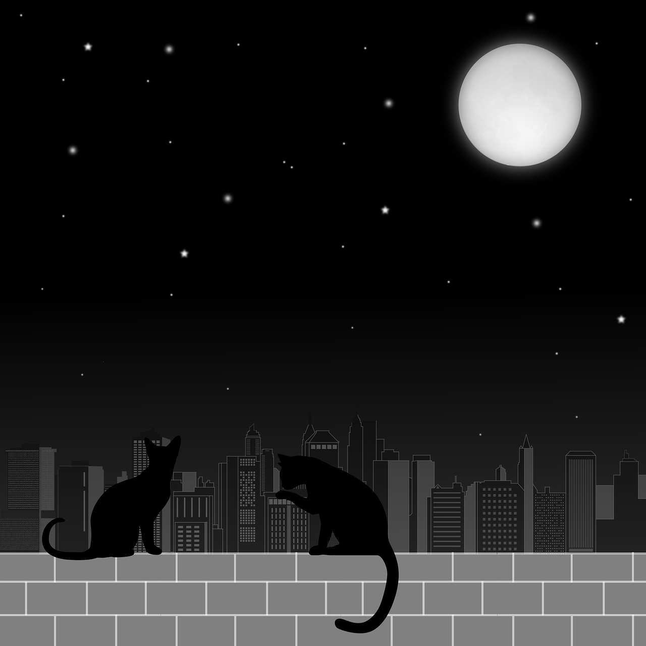 moon cats night free photo