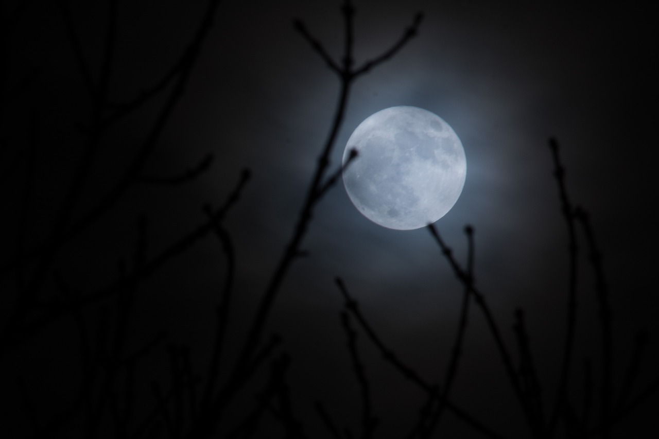 moon supermoon moonlight free photo