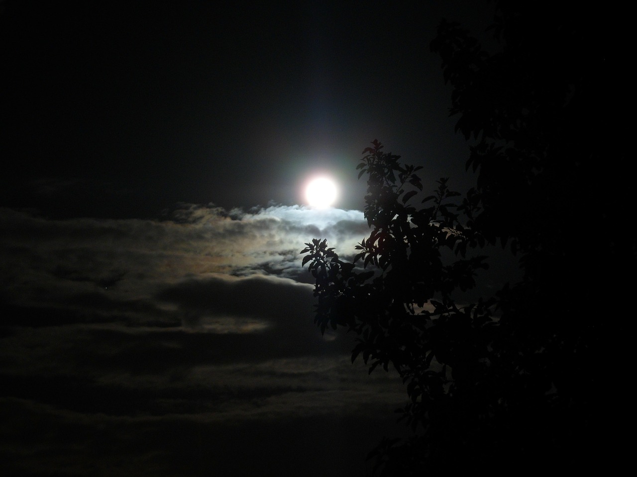 moon brightness night free photo