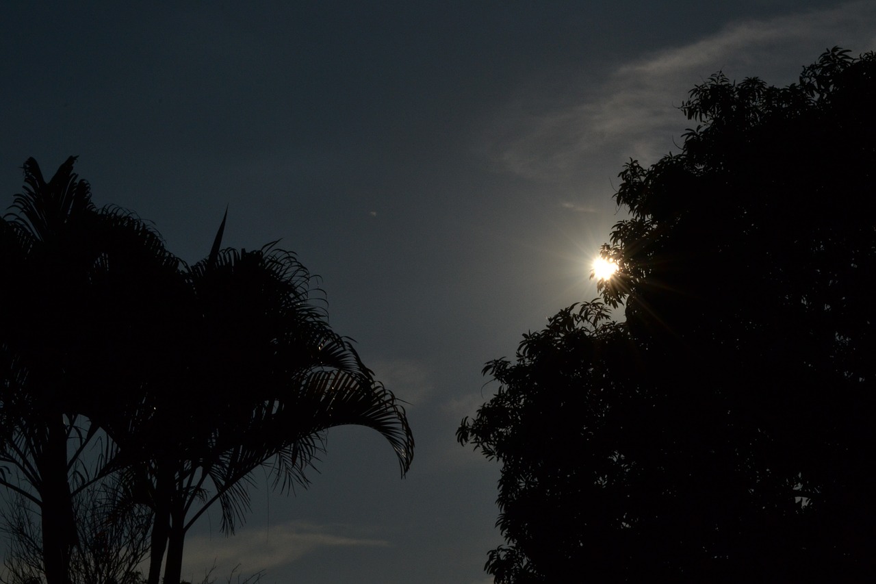 moon silhouette night free photo