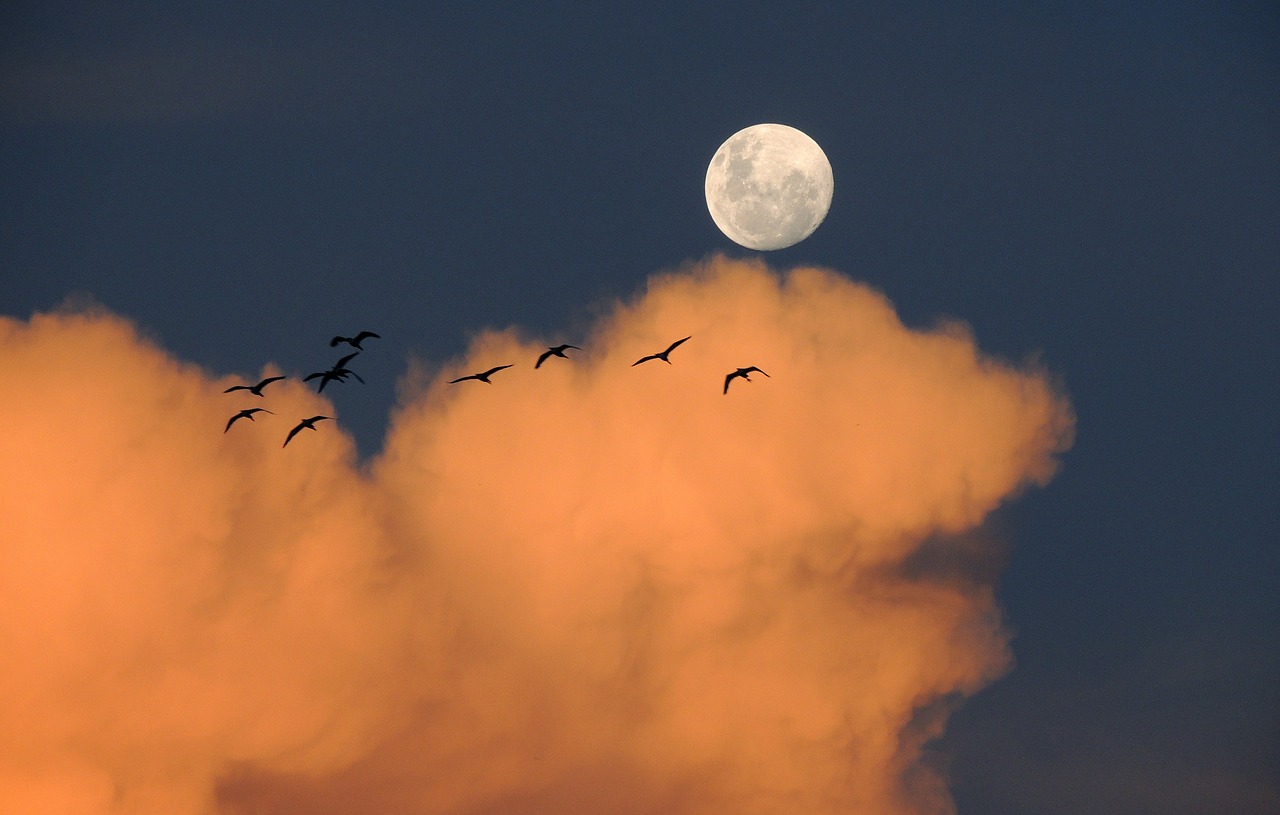 moon sky clouds free photo