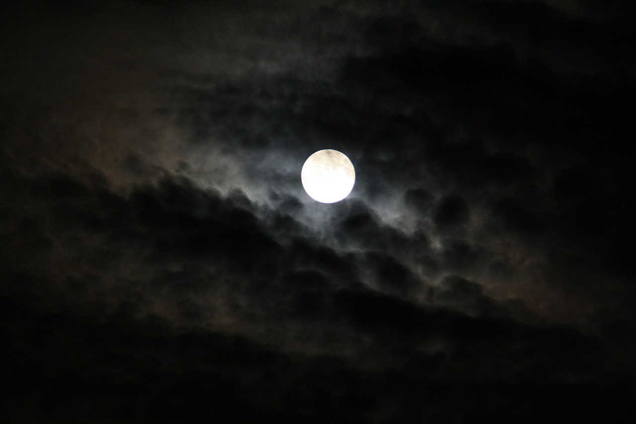 moon luna night free photo