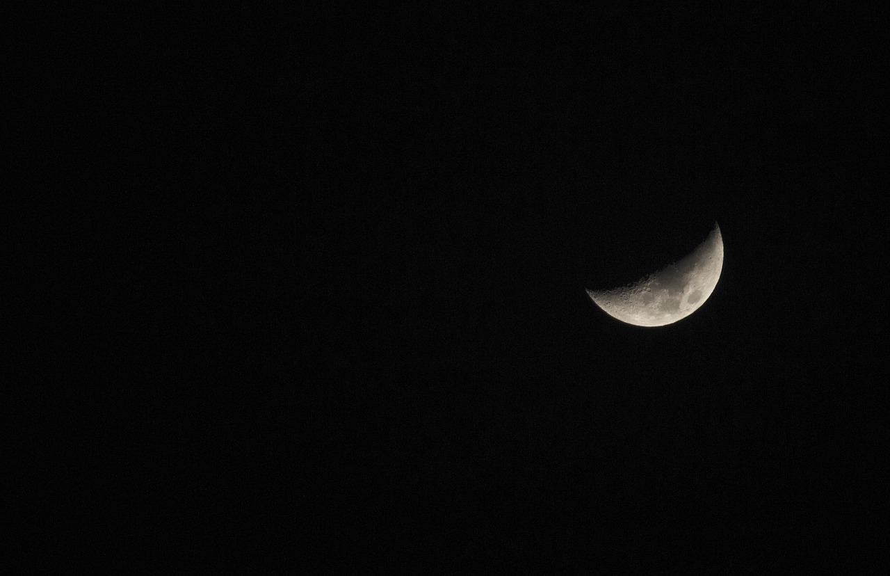 moon  astronomy  eclipse free photo