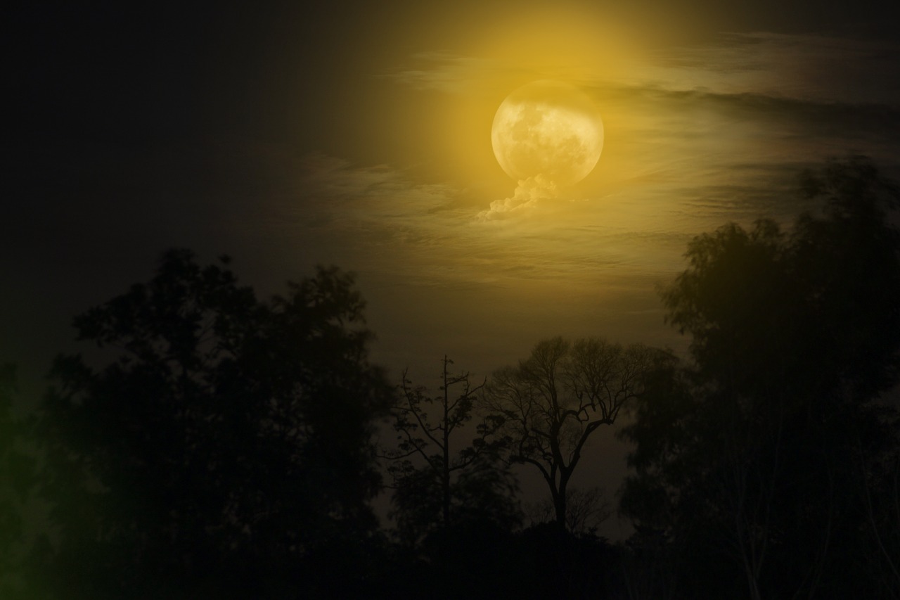 moon  night  nightshoot free photo