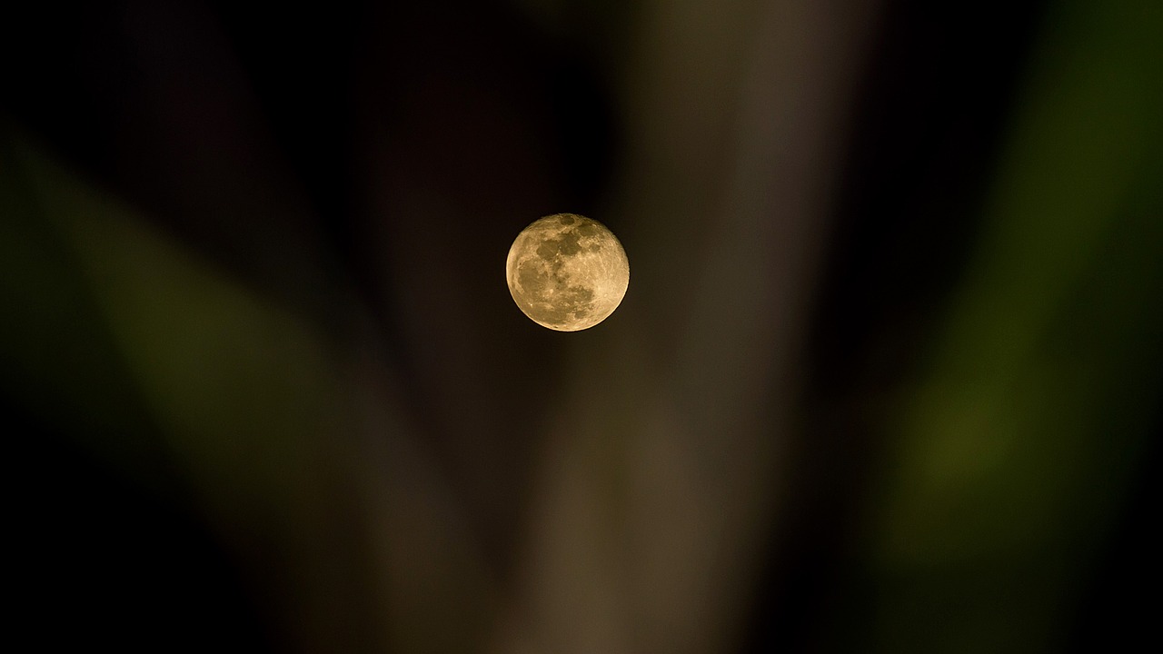 moon  fullmoon  night free photo