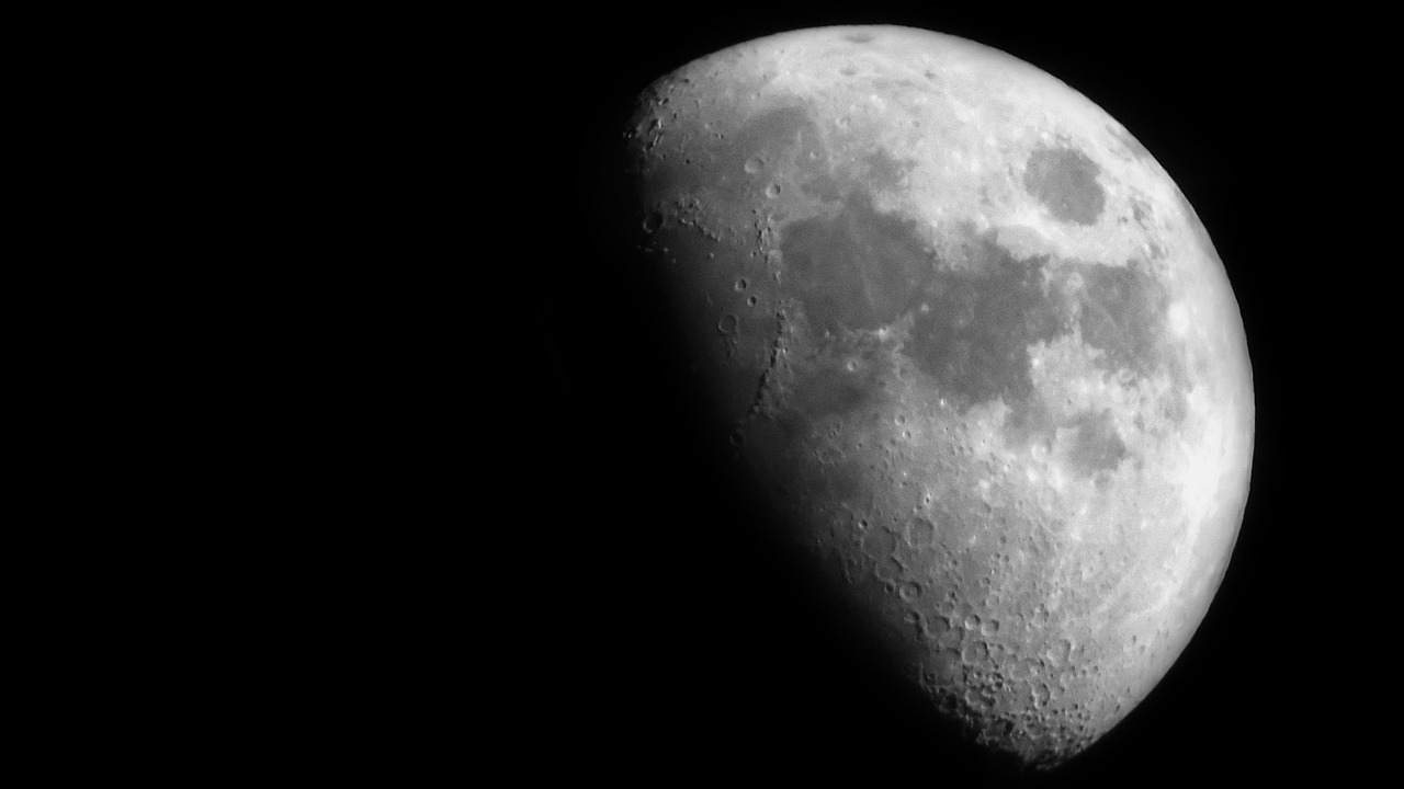moon  moonlight  astronomy free photo