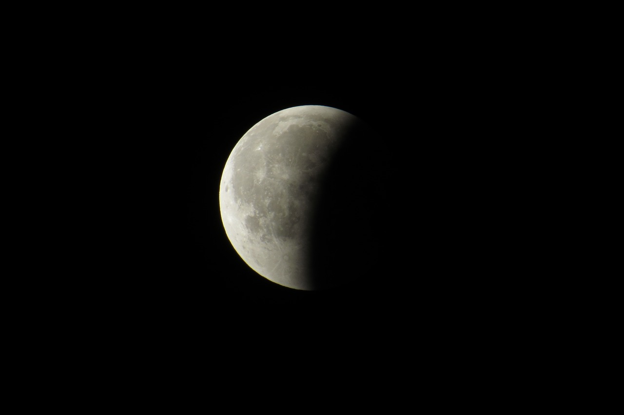 moon  moon eclipse  astronomy free photo