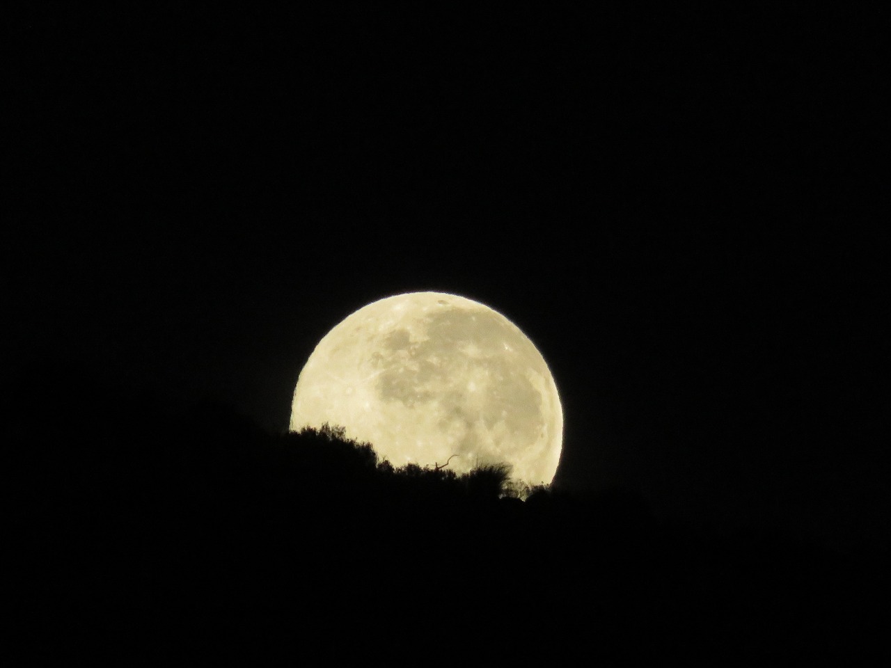 moon  night  moonlight free photo