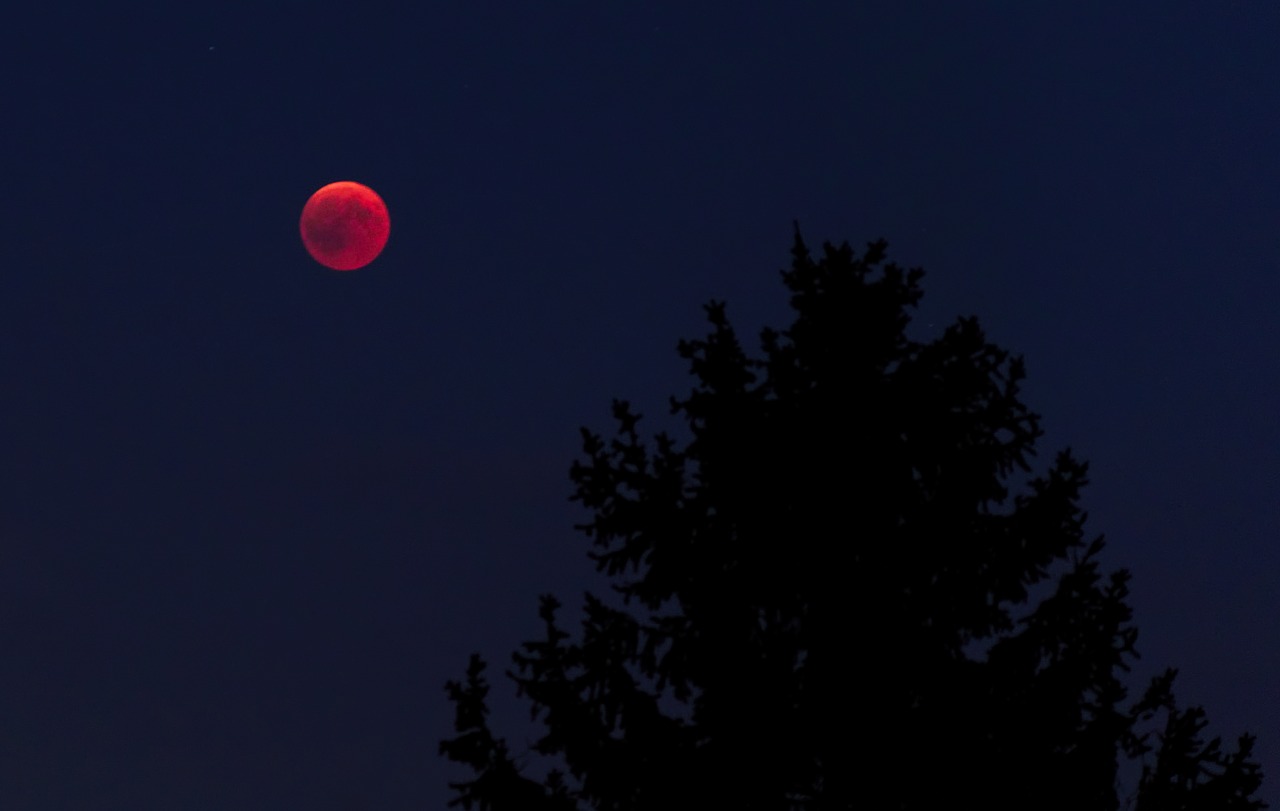 moon  night  lunar eclipse free photo