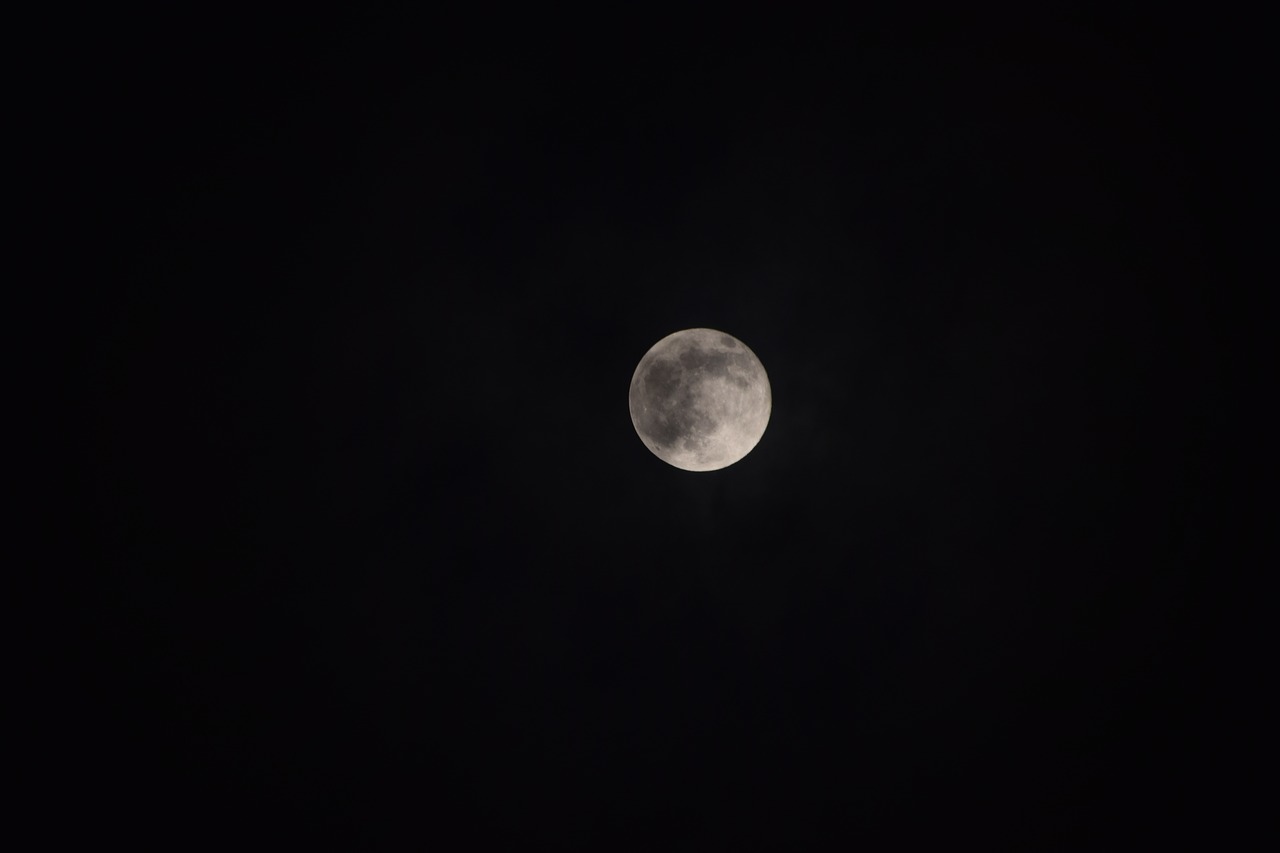 moon  full moon  moonlight free photo