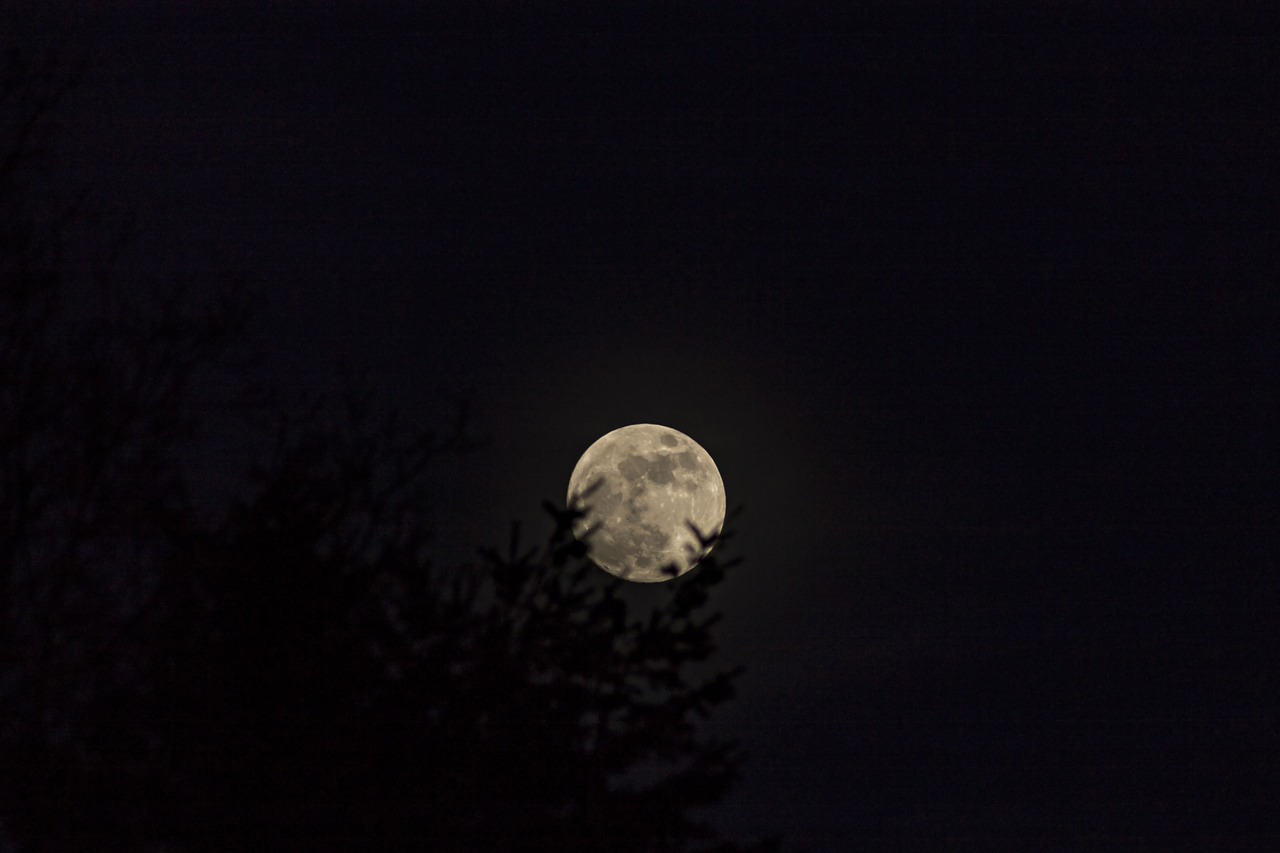 moon  sky  night free photo