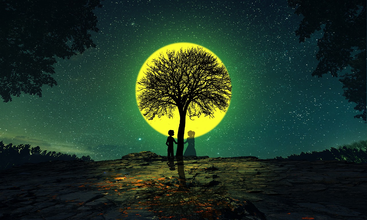 moon  tree  lover free photo