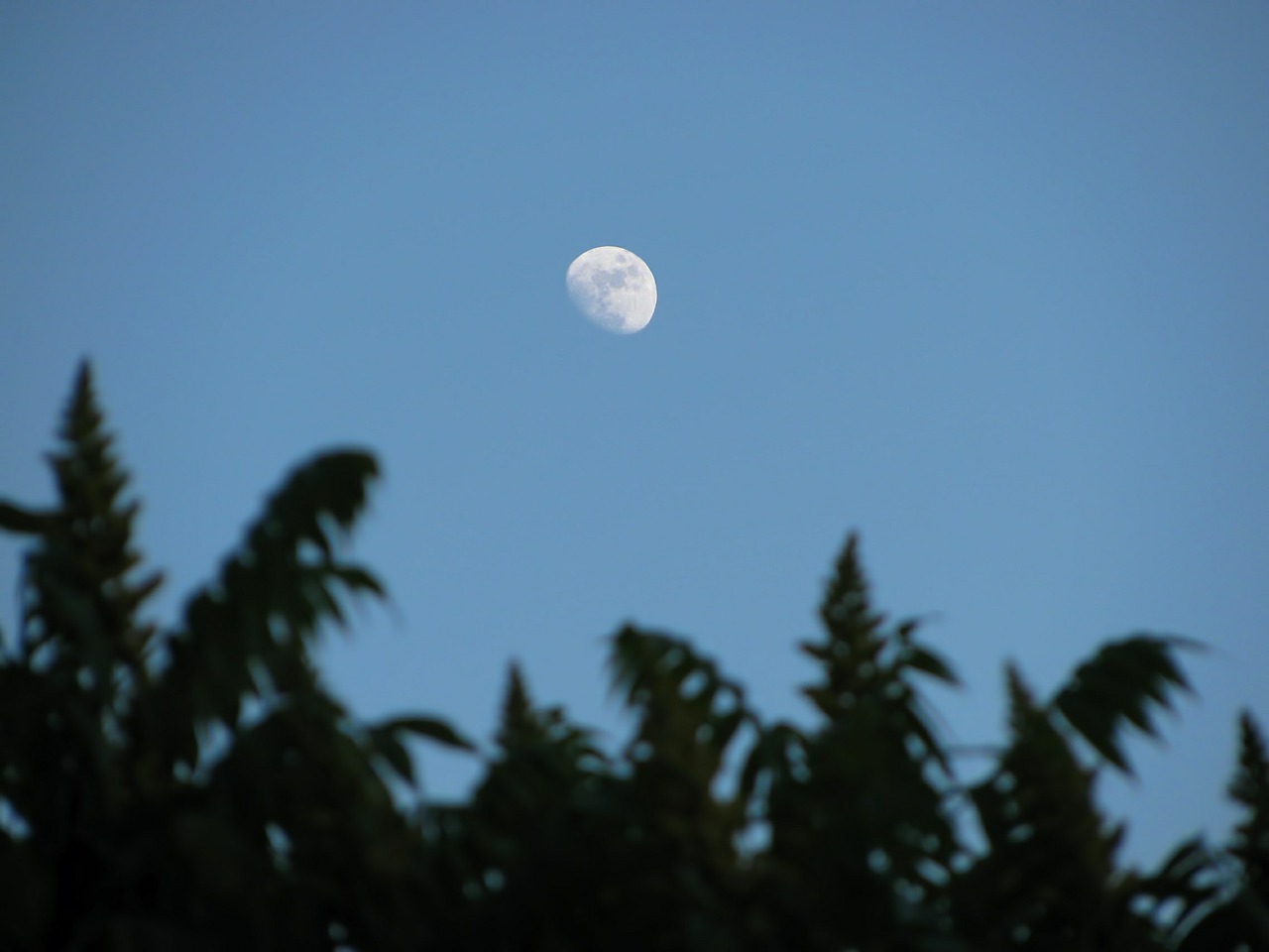 moon sky skyscape free photo