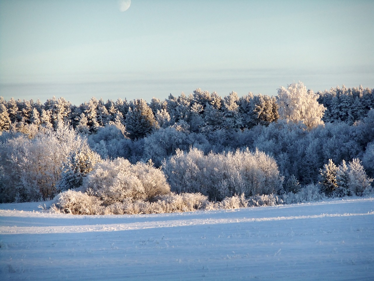 moon  sky  winter free photo