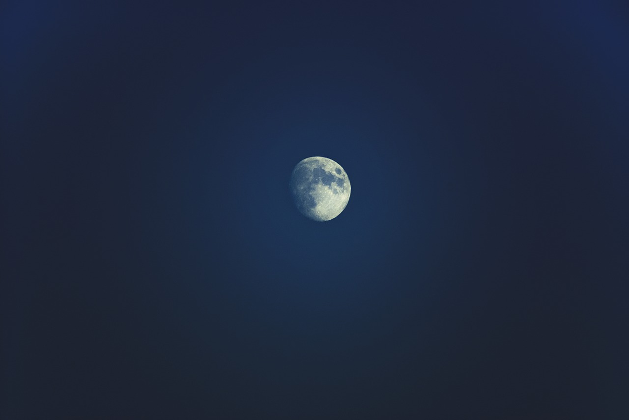 moon  dark  night free photo