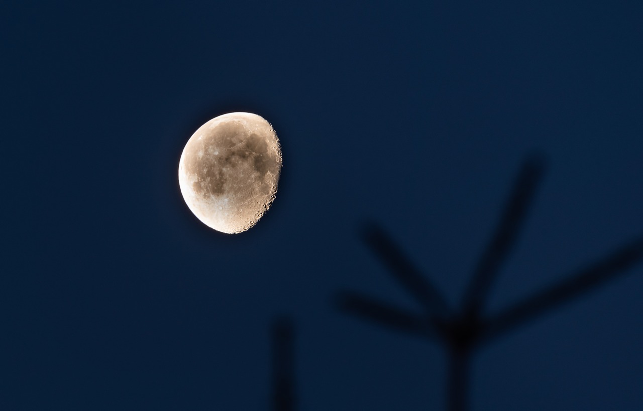 moon  slimming  illuminated free photo