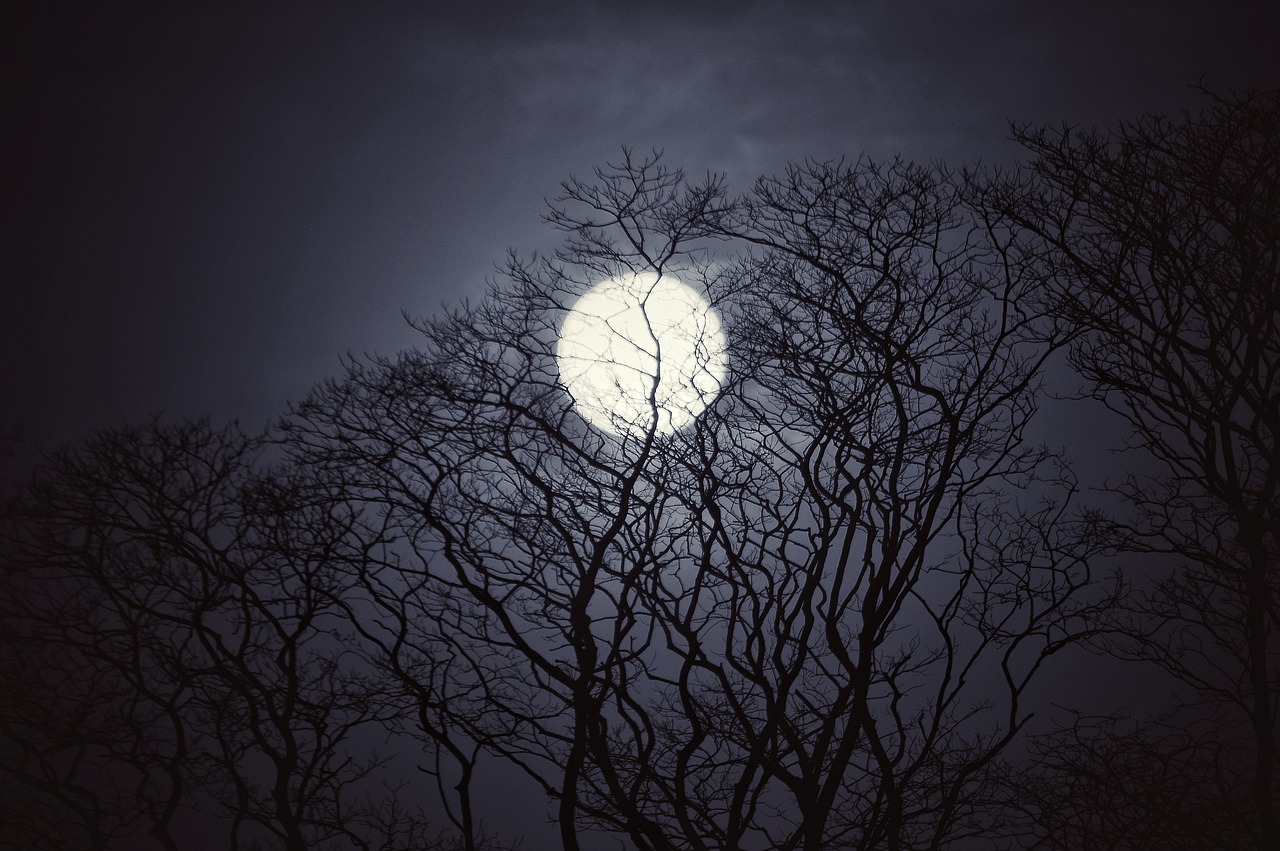 moon  night  sky free photo