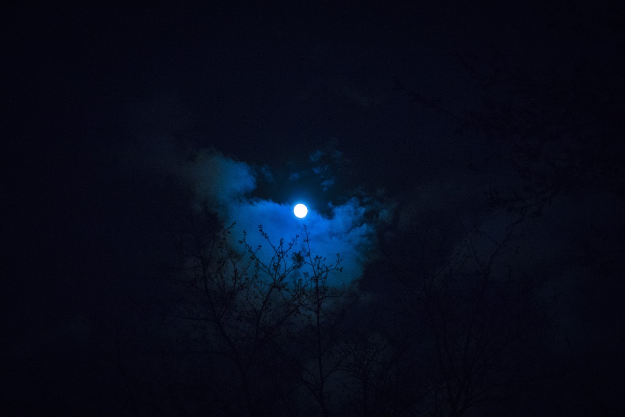 moon  night  sky free photo