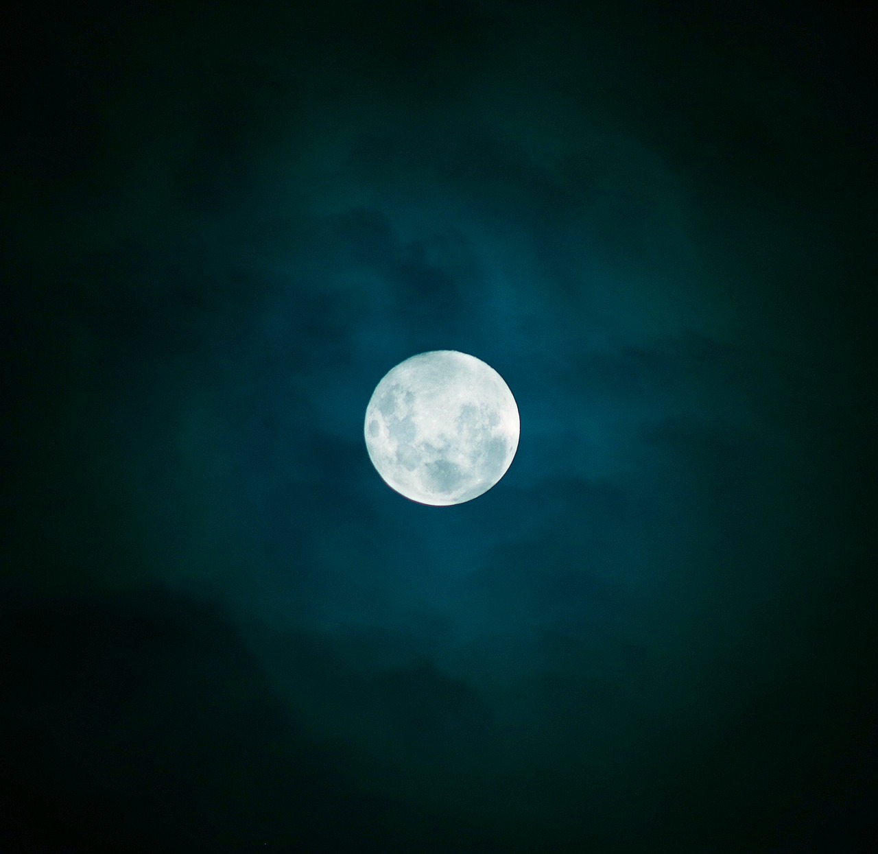 moon  moonlit  night sky free photo