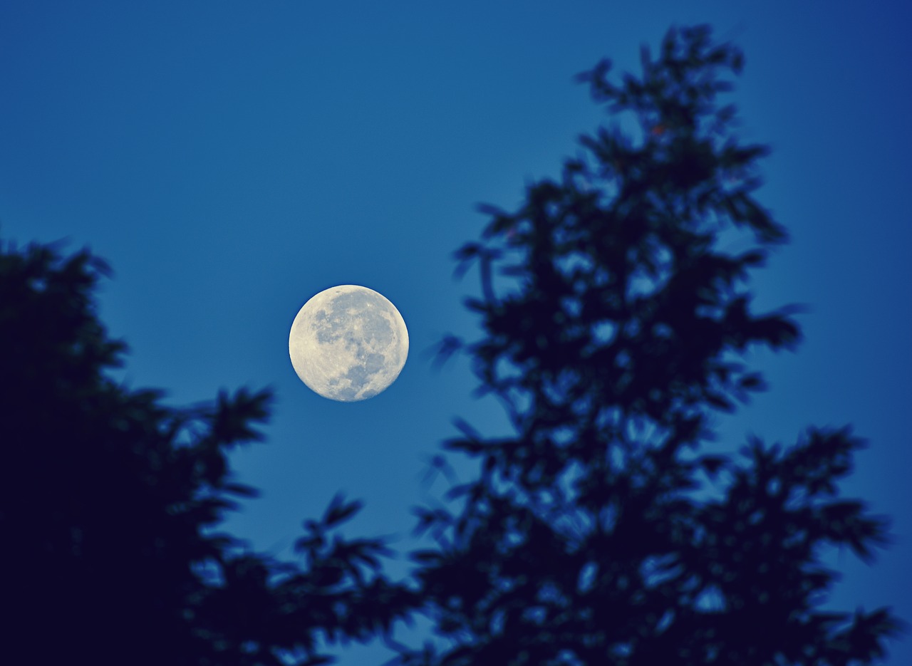 moon  night  sky free photo