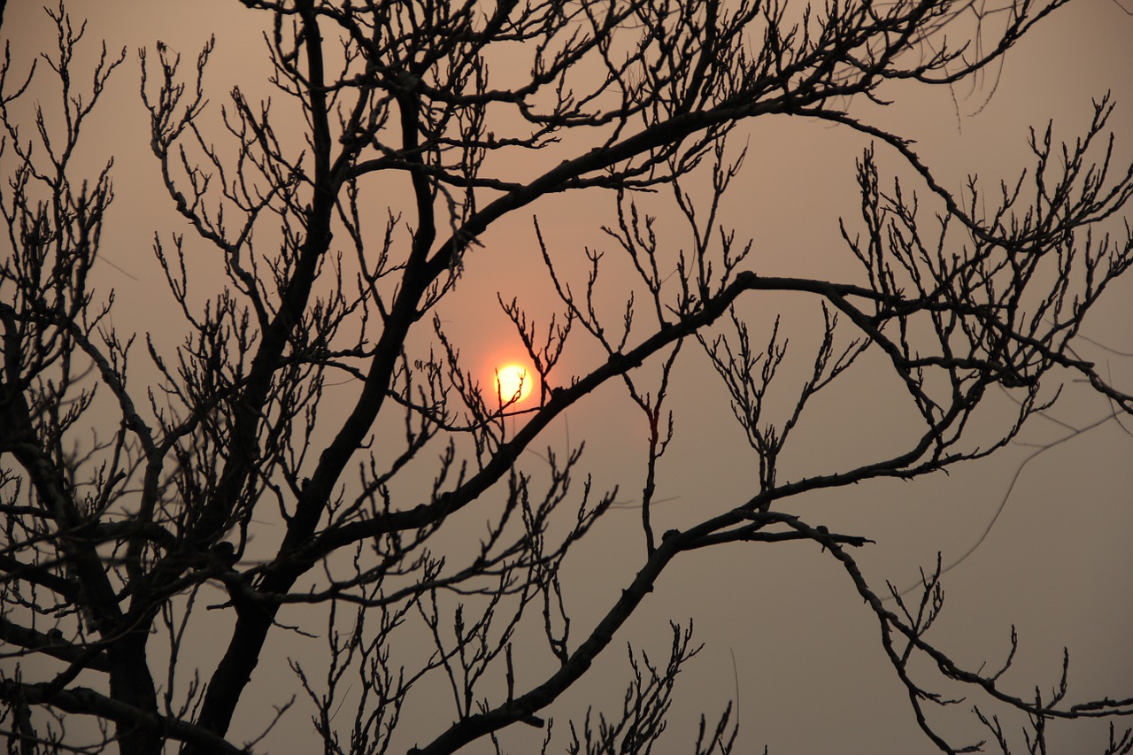 moon shadows sunset free photo