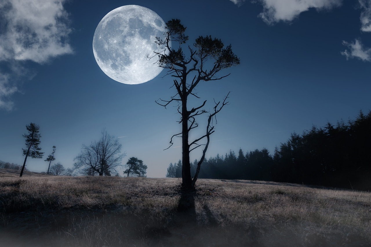 moon  night sky  moonlight free photo