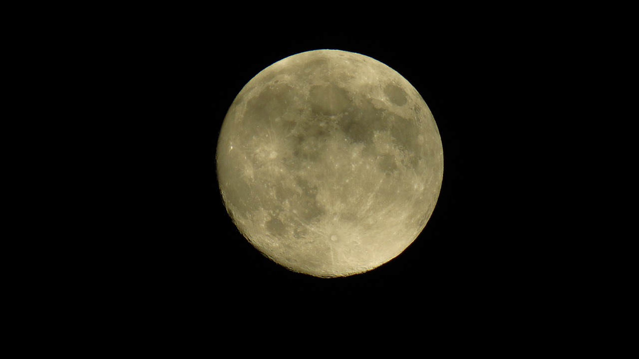 moon  full moon  night free photo