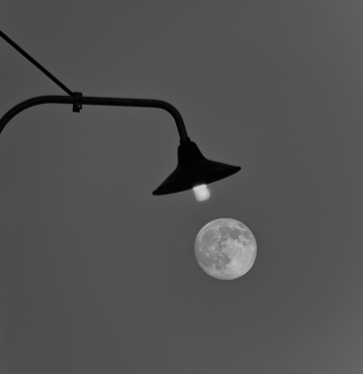moon  lamp  light free photo