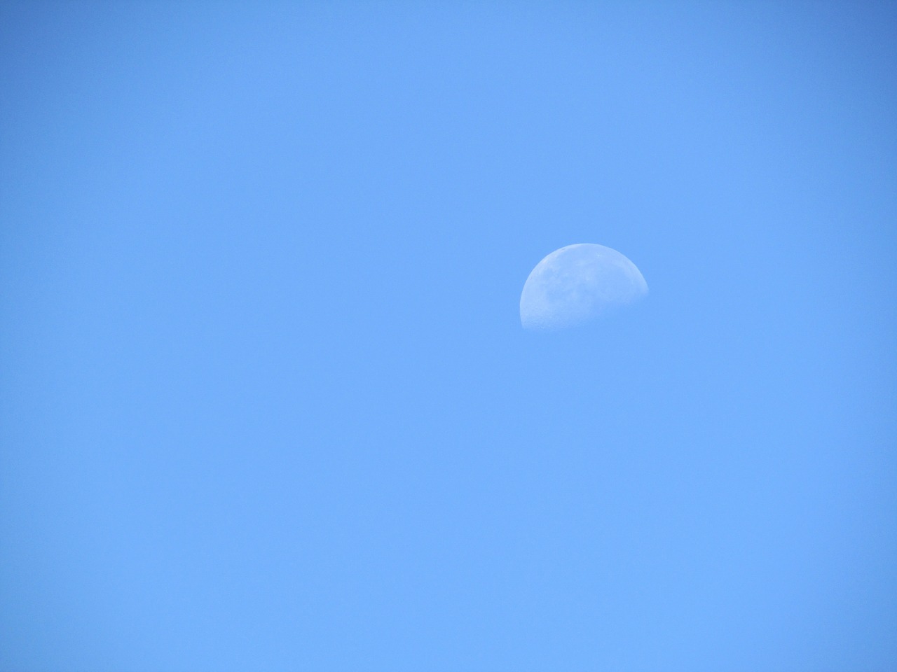 moon sky summer free photo