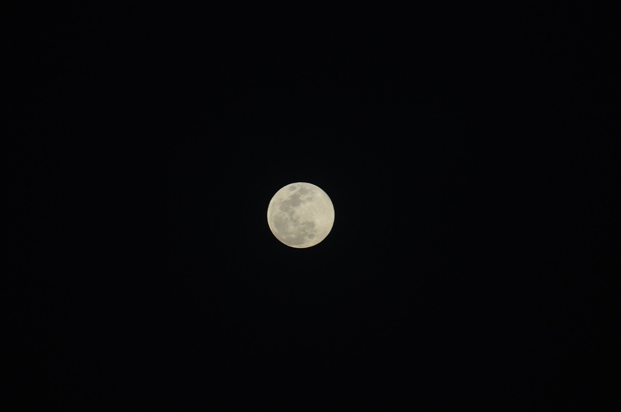 moon moonlight night free photo