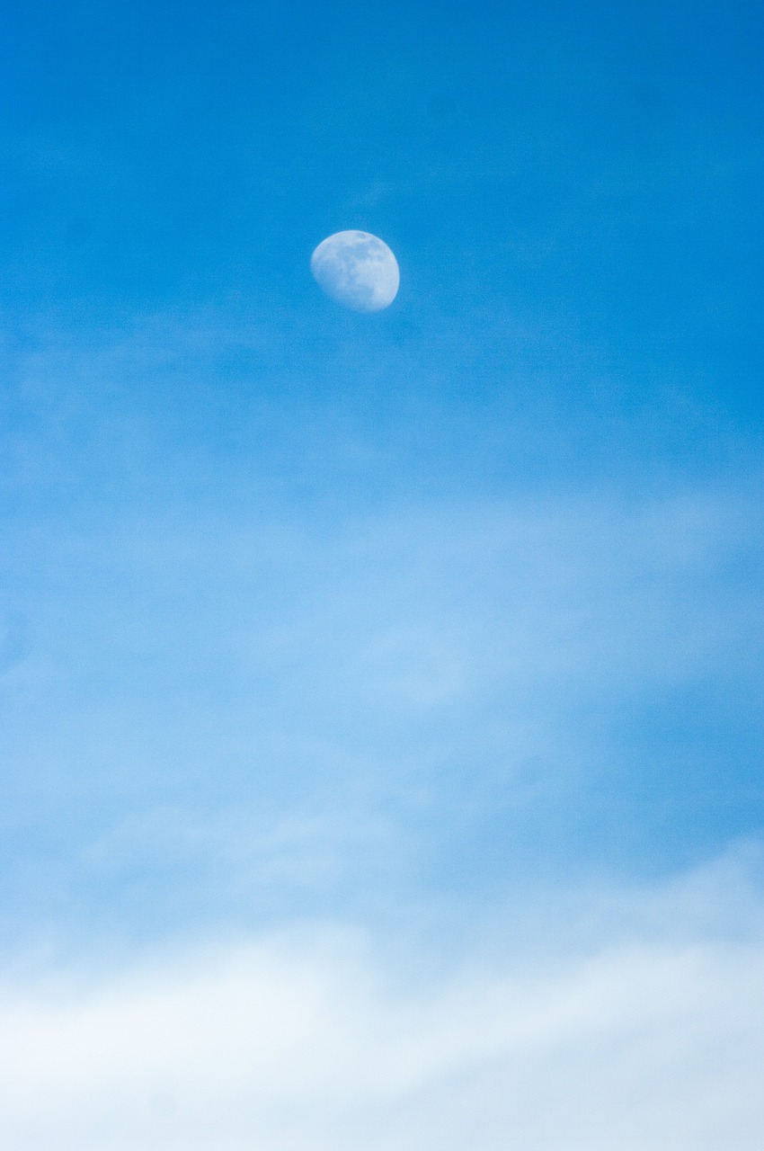 moon sky moonlight free photo