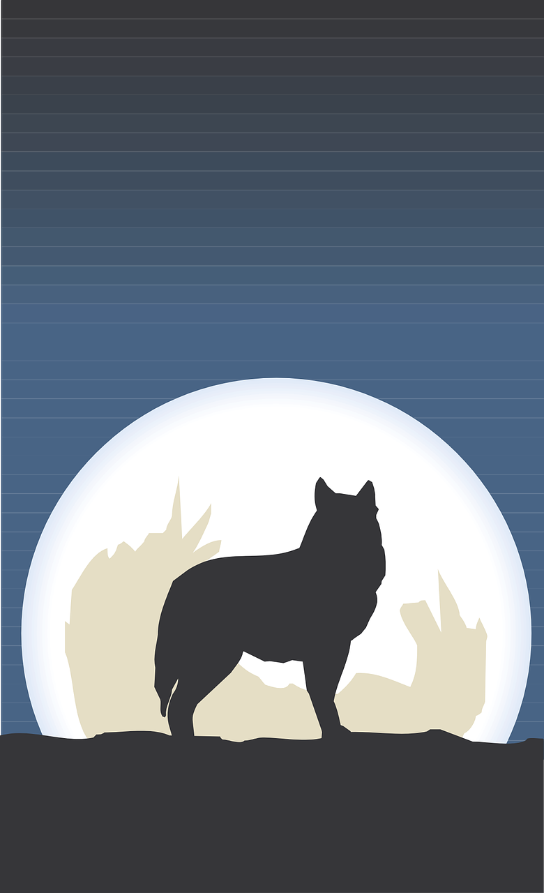 moon,silhouette,standing,animal,shine,coyote,free vector graphics,free pictures, free photos, free images, royalty free, free illustrations, public domain