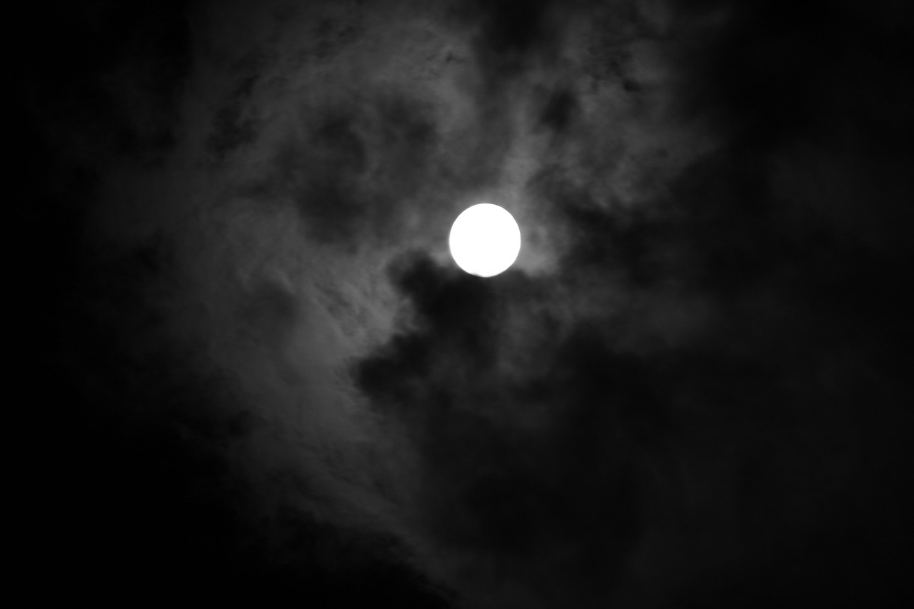 moon darkness moonlight free photo