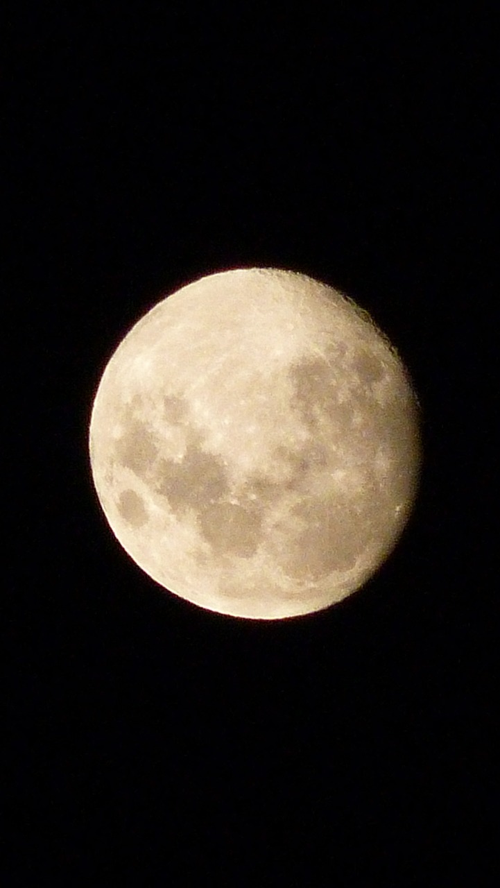 moon sky night free photo