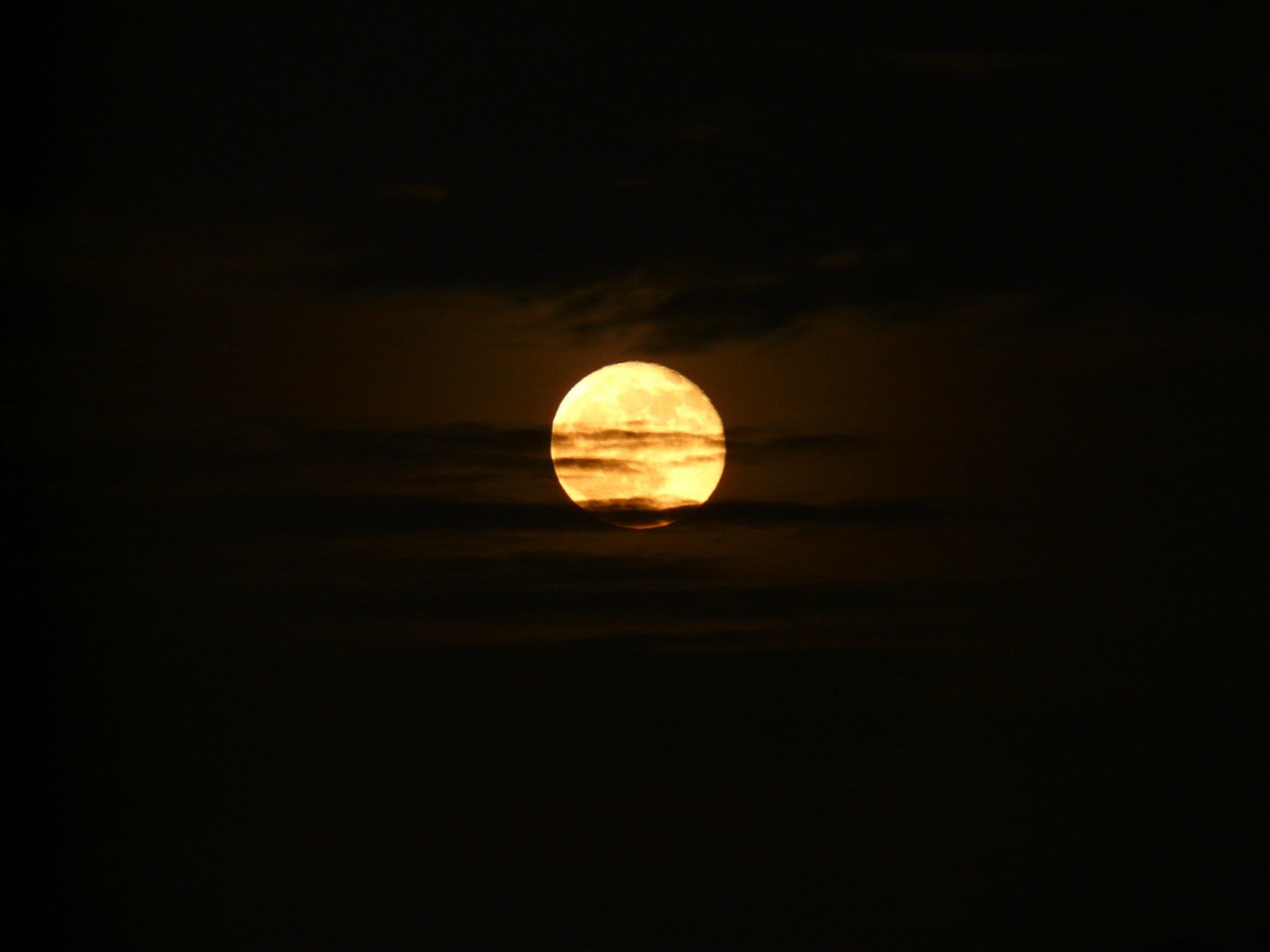 moon night mysticism free photo