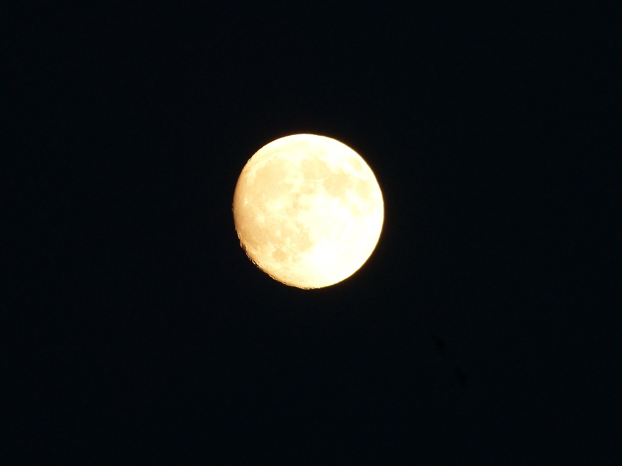 moon quality full moon free photo