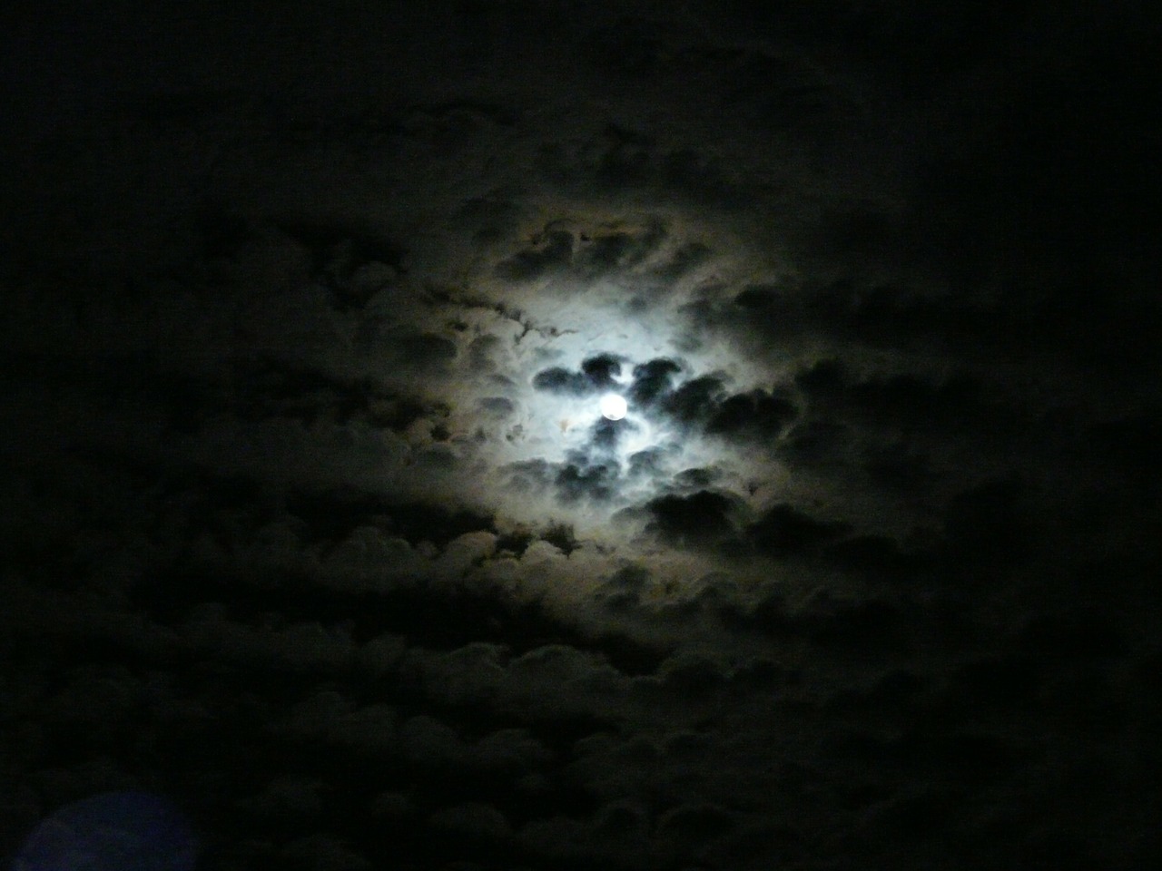 moon moonlight clouds free photo