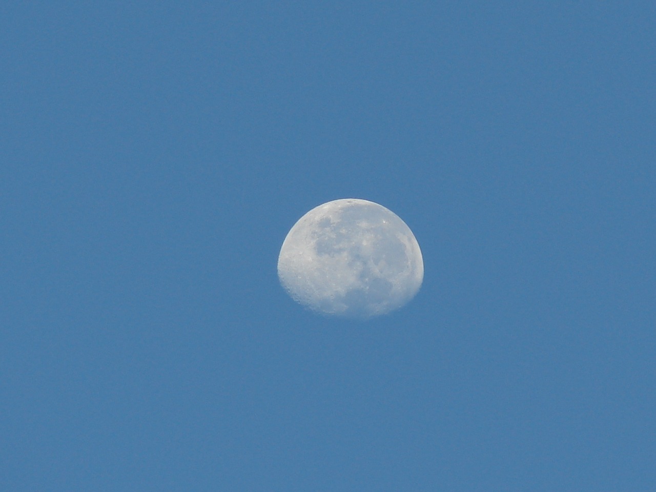 moon sky blue free photo