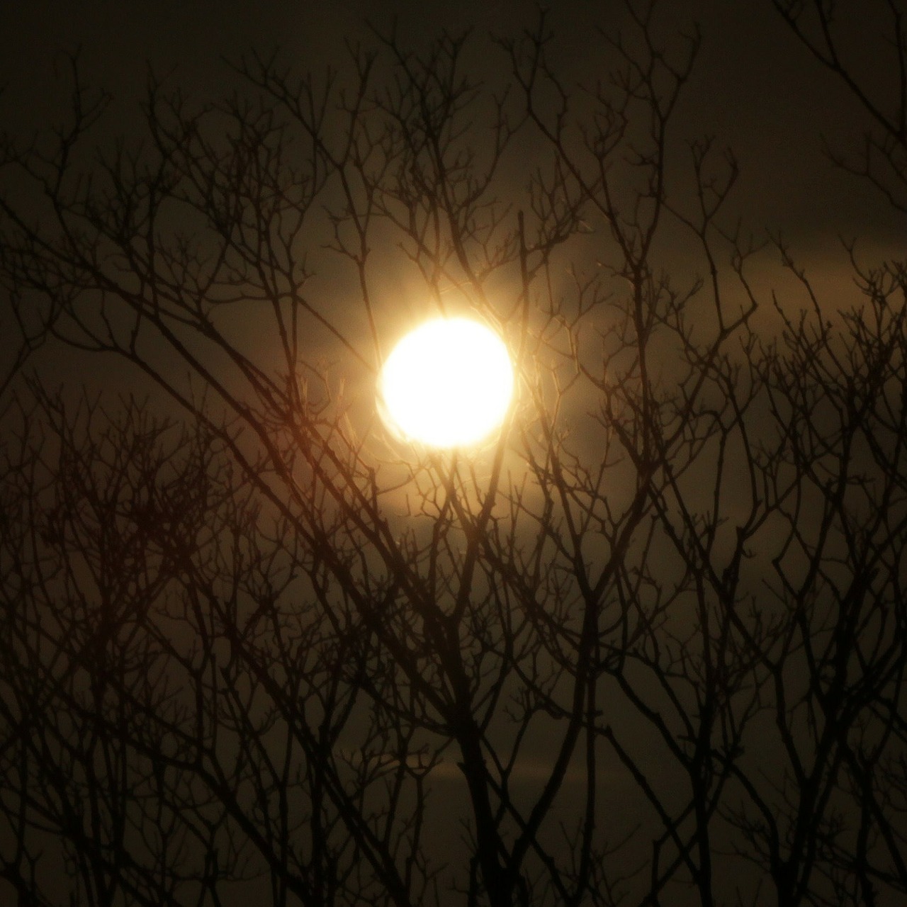 moon night sky silhouette free photo