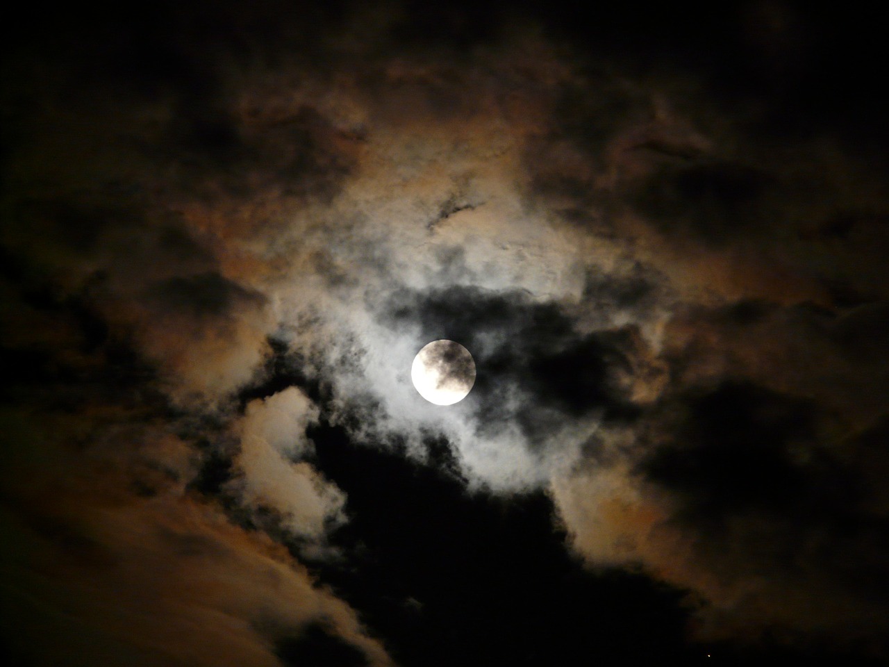 moon moonlight pale free photo