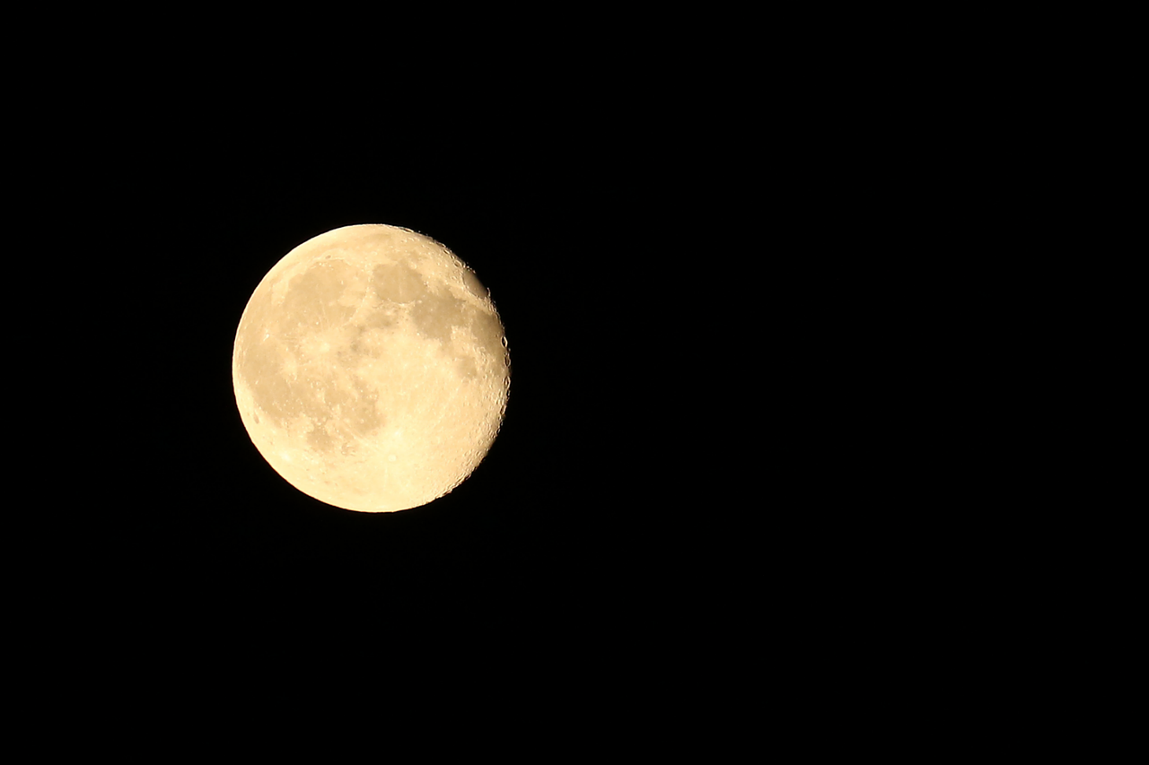 moon at night sky free photo