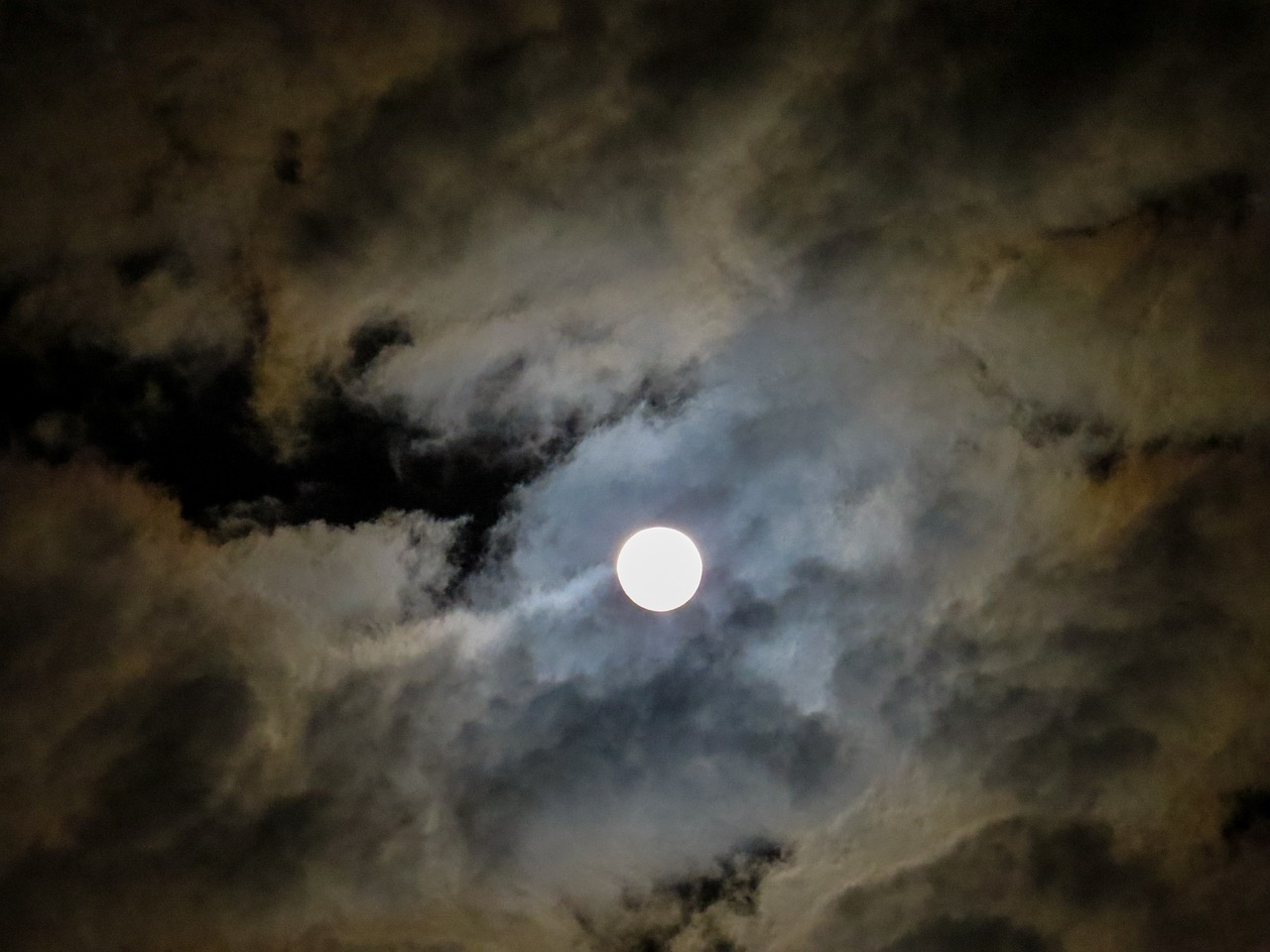 moon full moon moonlight free photo