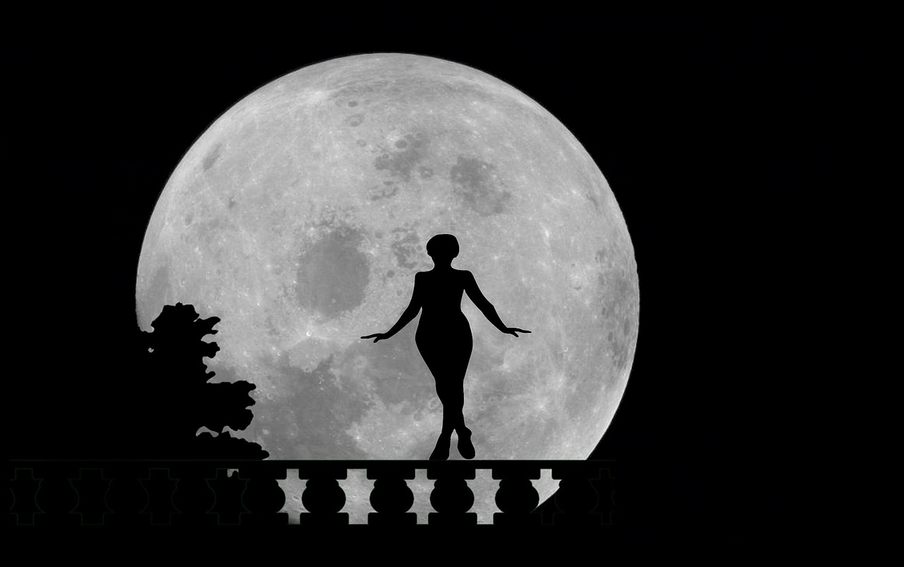 moon silhouette night free photo