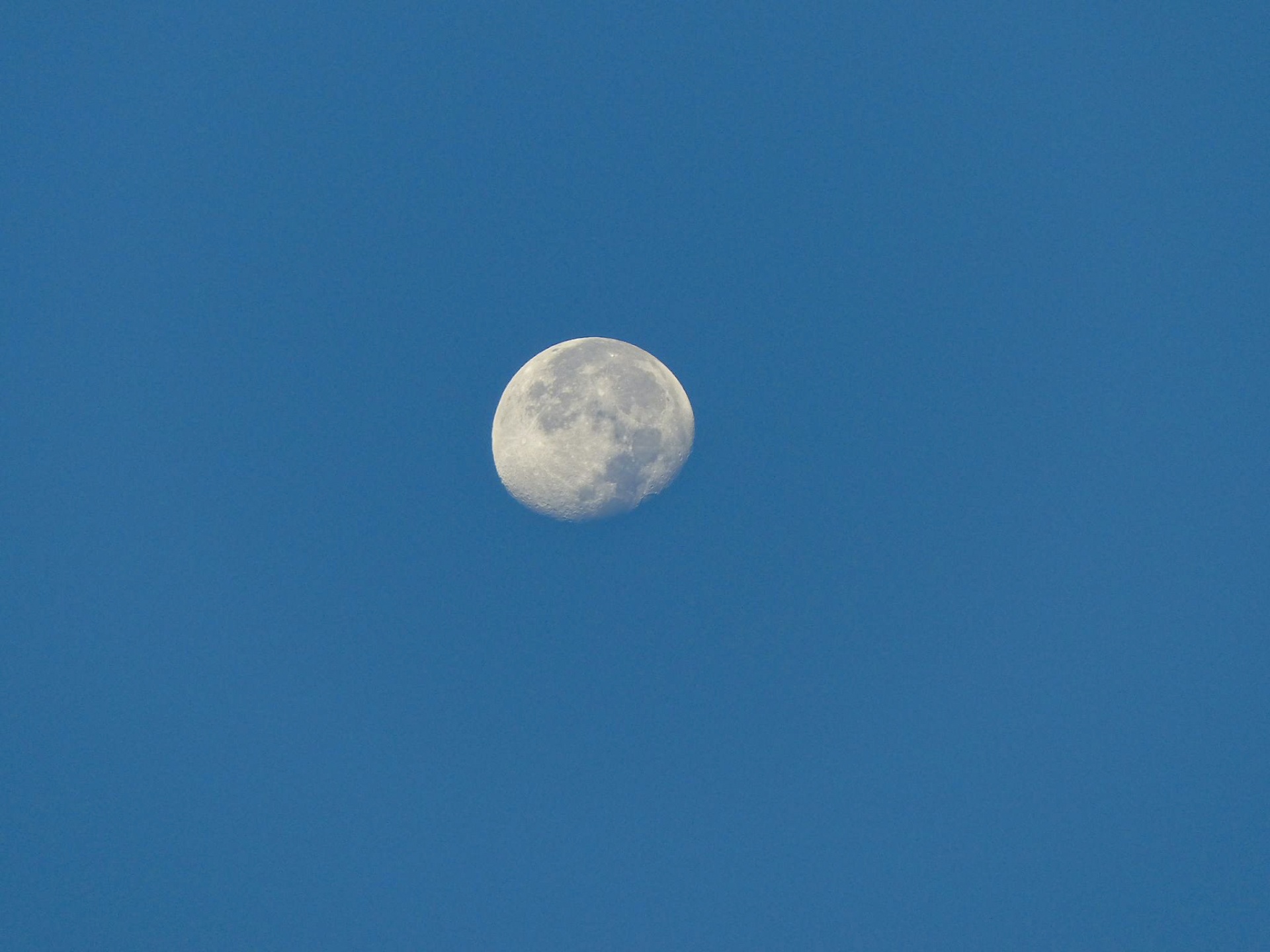 moon sky blue free photo